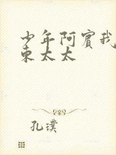 少年阿宾我的房东太太封面