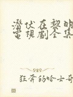 潜伏在黎明之前电视剧全集免费观看