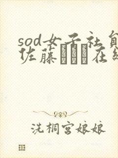 sod女子社员佐藤カレン在线播放