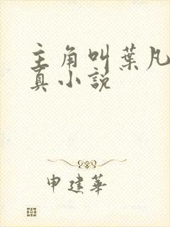 主角叫叶凡的修真小说