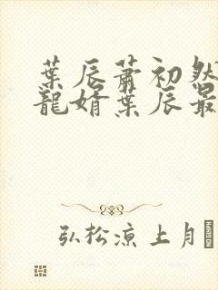 叶辰萧初然上门龙婿叶辰最新封面