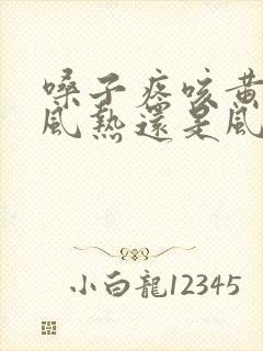 嗓子疼咳黄痰是风热还是风寒