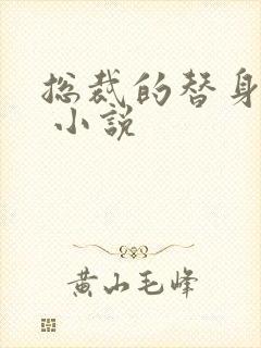 总裁的替身前妻 小说