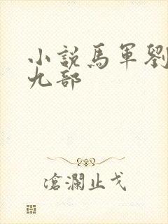 小说马军刘艳第九部