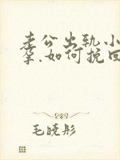 老公出轨小三怀孕.如何挽回