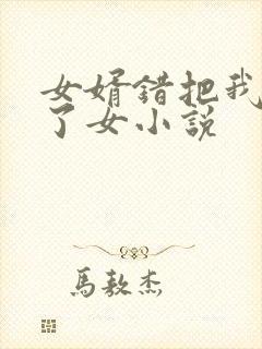 女婿错把我当成了女小说