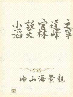 小说官道之权势滔天林峰宁欣