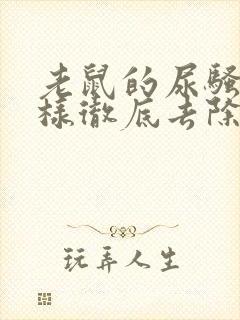 老鼠的尿骚味怎样彻底去除