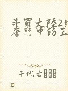 斗罗大陆2绝世唐门中的王冬