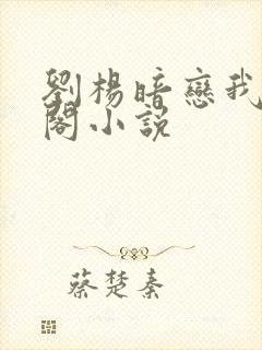 刘杨暗恋我笔趣阁小说