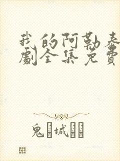 我的阿勒泰电视剧全集免费播放