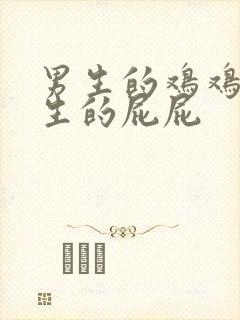 男生的鸡鸡捅女生的屁屁