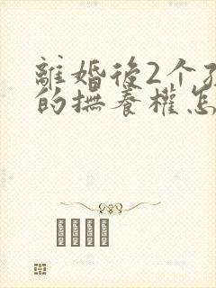 离婚后2个孩子的抚养权怎么判定呢