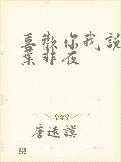 喜欢你我说了算叶非夜