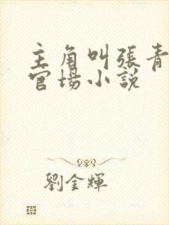 主角叫张青云的官场小说