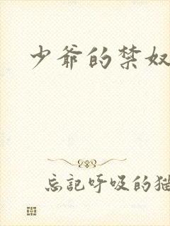 少爷的禁奴封面