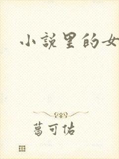 小说里的女主