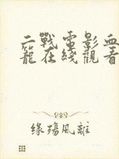 二战电影血色牢笼在线观看