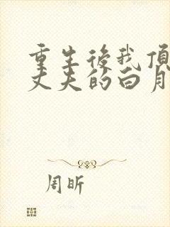 重生后我顶替了丈夫的白月光