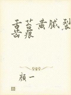 舌苔黄腻裂纹有齿痕