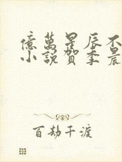 亿万星辰不及你小说贺季晨