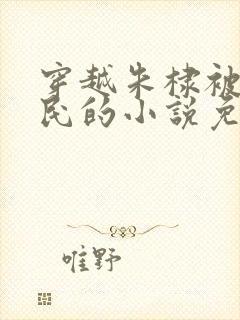 穿越朱棣被贬农民的小说免费阅读