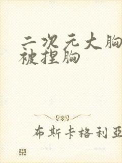 二次元大胸美女被捏胸