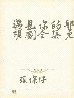 遇见你的那天电视剧全集免费