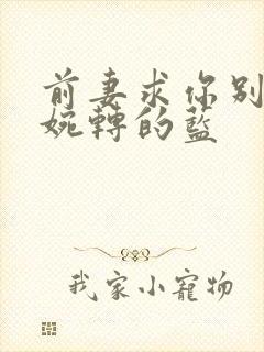 前妻求你别改嫁婉转的蓝封面