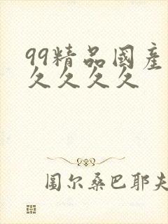 99精品国产久久久久久