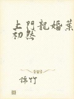 上门龙婚叶辰萧初然封面
