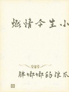 燃情今生小说