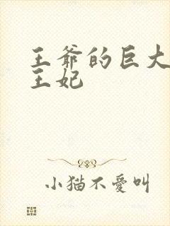 王爷的巨大进入王妃