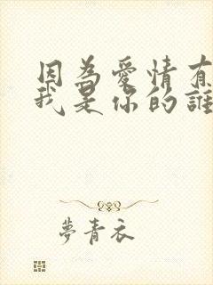 因为爱情有多美我是你的谁