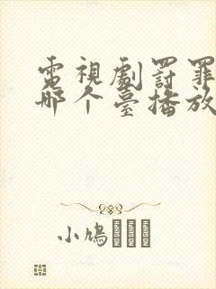 电视剧罚罪2在哪个台播放