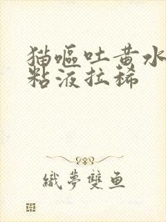 猫呕吐黄水泡沫粘液拉稀