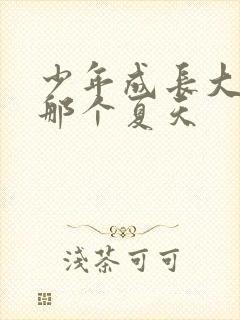 少年成长大人的那个夏天