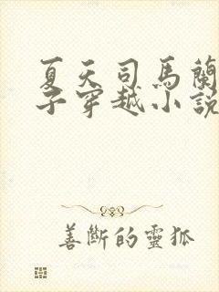 夏天司马兰九皇子穿越小说笔趣阁