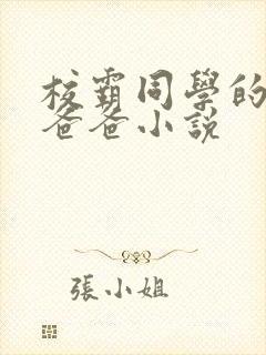 校霸同学的痞坏爸爸小说