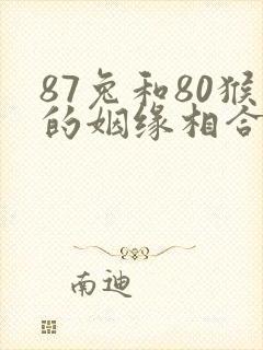 87兔和80猴的姻缘相合吗
