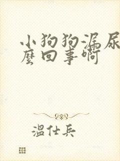 小狗狗漏尿是怎么回事啊封面