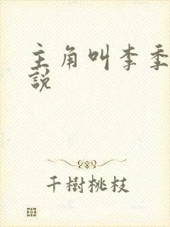 主角叫李季的小说