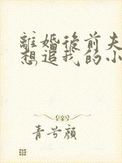 离婚后前夫总是想追我的小说