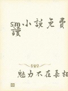 sm小说免费阅读