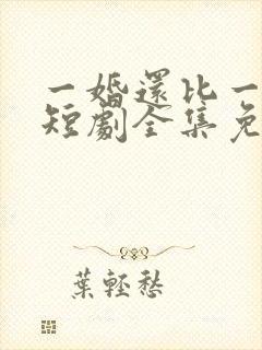 一婚还比一婚高短剧全集免费观看