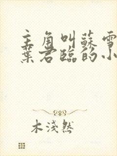 主角叫苏雪儿和叶君临的小说