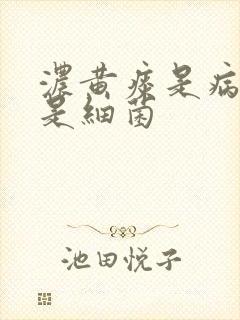 浓黄痰是病毒还是细菌