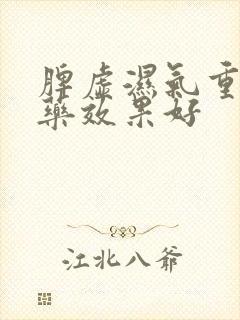 脾虚湿气重吃啥药效果好