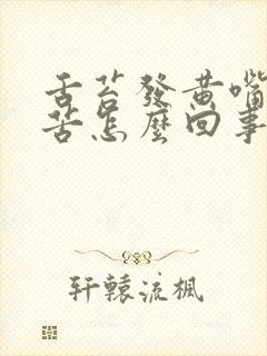 舌苔发黄嘴里发苦怎么回事