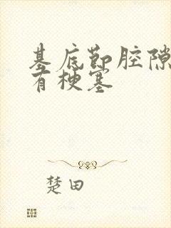 基底节腔隙性脑有梗塞